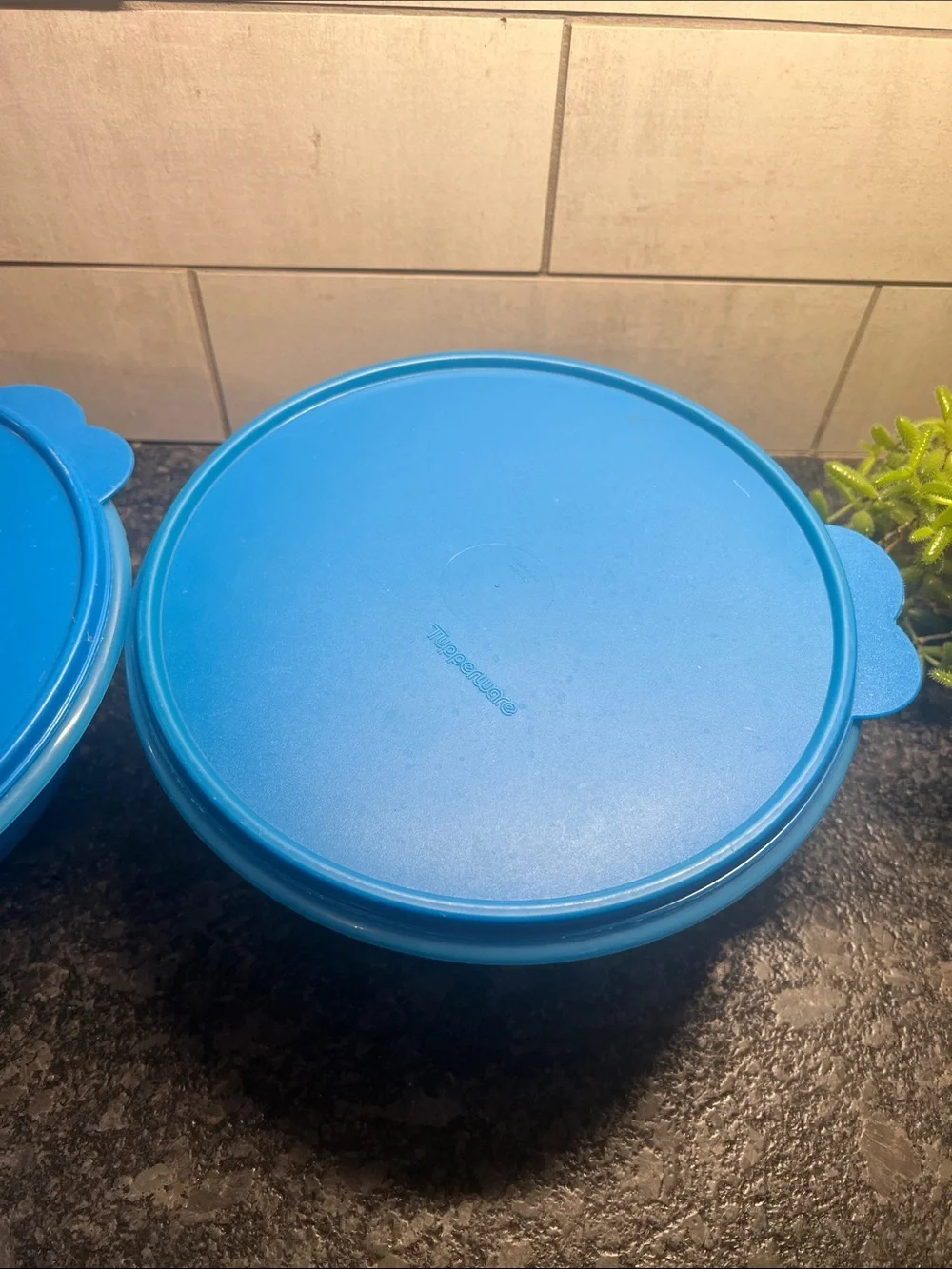 Set of 2 Tupperware Wonderlier Blue Plastic Food Storage Bowls with Lids